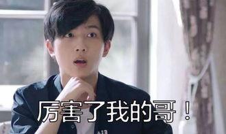 李宏毅表情包图片